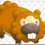 Ezekiel the shiny hunter - @shiny_bidoof_ - Instagram