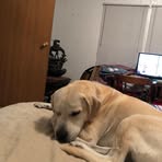 Zeke Proctor - Facebook
