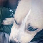 Ezekiel Quick - @ezekiel.quick - Instagram
