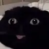 🌀ezra/ash🌀 - @ezra.n.life - TikTok