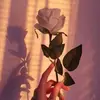 Ezra.Ash - @ezra.ash - TikTok