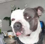 Ezra Atkinson - Facebook