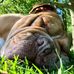 Ezra Bailey - Facebook