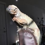 Ezra Baker - @eostheiguana - Instagram