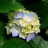 ezrabecker853 - @ezrabecker853 - TikTok