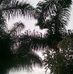 Ezra Brophy - Facebook