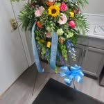 ezra cason - @estategardner420 - Instagram
