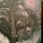 David Ezra F - @ezradavid - Instagram