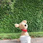 ezra eddy cornell jr 📕 - @ezraeddycornelljr - Instagram