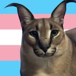 ezra - @ezra.moore_ - Instagram