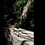 @ezra_moore - Instagram