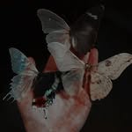 Ezra J. Pierce - @imlostunderthenightsky - Instagram