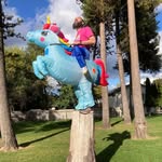 Ezra Sears - @ezra.sears - Instagram