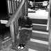 Ezra Vance - Facebook