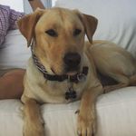 Ezra Renfro-Wallace - @ezra_the_townie - Instagram