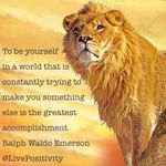 Ezra Wallace - @ezra.wallace.524 - Instagram
