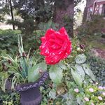 Ezra Wright - @ezrawright299 - Instagram
