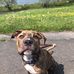 Ezra Wright - Facebook