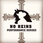 EZRA YODER - @no_reins__horses_llc_ - Instagram
