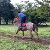 Fabi Flores - @fabi.flores235 - TikTok