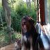 Fabian Carro - Facebook