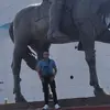 escorpion - @fabianceja55 - TikTok