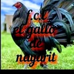 Fabian Ceja - Facebook