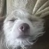 Fabian E Ceja - @fabianceja745 - TikTok