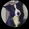 Fabián Celaya - @fabin.celaya0 - TikTok
