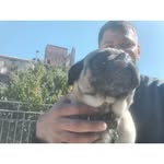 Fabian Céspedes - @fabian.cespedes.35325 - Instagram