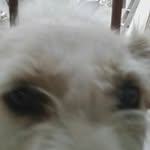 Fabian Cespedes - @fabian.cespedes.712 - Instagram
