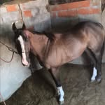 @fabian__coria - Instagram