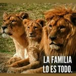 fabian coria - @fabian.coria2020 - Instagram