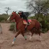 Fabian Coria - @fabian.coria5 - TikTok