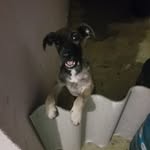 Fabian Coria - @fabian.coria.77377 - Instagram