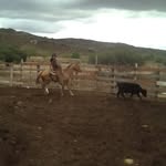 Fabian E Cota - @fabian.cota.1650 - Instagram