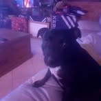 Fabian Day - Facebook