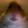 Fabian Decker - @usersgmza509pd - TikTok