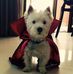 Fabian Espitia - Facebook