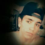 Fabian - @fox.fabian - Instagram