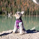 Fabian Hermosillo - @photohermo - Instagram