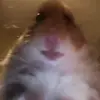 fabianhermosillo8 - @fabianhermosillo8 - TikTok