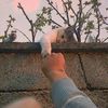 fabian keys - @fabiankeyz - TikTok