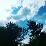 Fabian Lamm - @fabian.lamm - Instagram