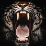 Fabian Francisco Michel - @fabian__michel - Instagram