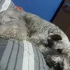 Fabian Olivera - @fabianolivera1 - TikTok