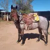 Kevin Rascón - @fabian.rascon - TikTok