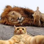 Fabián Rocha - @fabianrc85 - Instagram