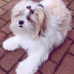 Fabian - @_fabian_ross_fqn - Instagram