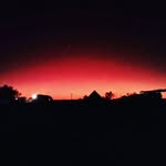 @fabian_rowe_21 - Instagram